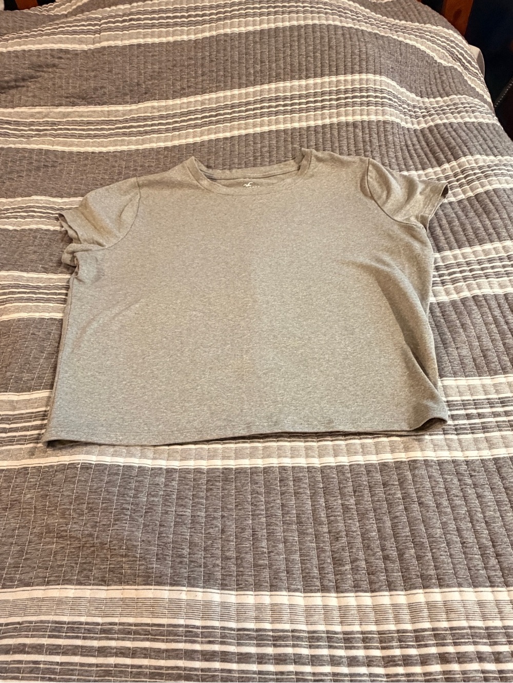 Classic Women’s Large Hollister Crewneck Short Sleeve Top - Light Gray
